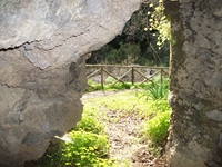 cantara gurne23122011 152